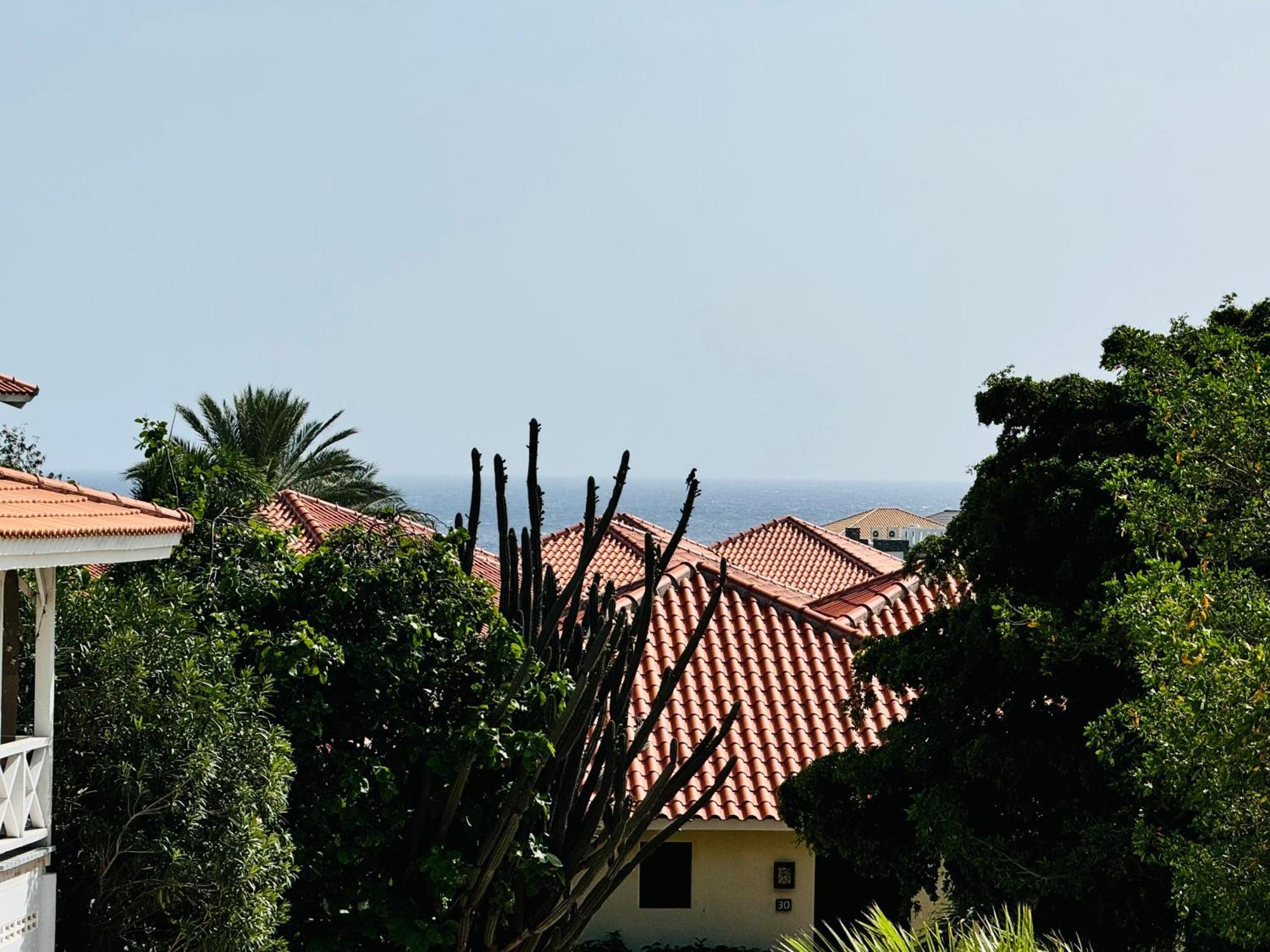 # Blue Bay Beach - Ocean View Apartments - Fully Air Conditioned # Kültér fotó